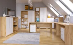 Aktenschränke^Büroschrank
