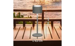 Fischer-Honsel Led-Tischlampen|Leuchtenzubehör^Tischleuchte