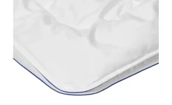 4-Jahreszeiten-Steppbett Gerda|IRISETTE Outlet