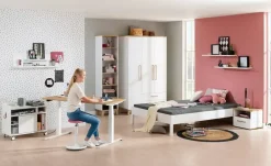 Kinder PAIDI Komplett-Kinderzimmer|Schreibtische^Schreibtisch e-lion