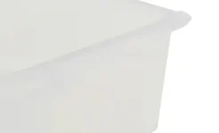 Rotho Regale|Aufbewahrungsboxen^Aufbewahrungsbox EVO EASY