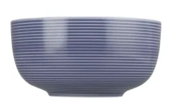 Seltmann Weiden Schalen^Foodbowl Beat