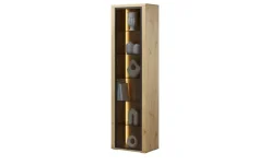 Woodford Vitrinen|Vitrinen^Vitrine Malaga