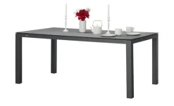 Clearance Zebra Tischgestell Alus Graphit